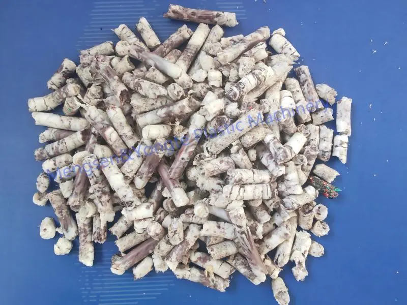 Mașină de fabricare a pelete de reciclare a foliei de plastic de 500 kg/h pentru client african